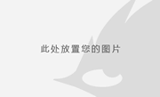 電子鎖 E-BOLT LOCK